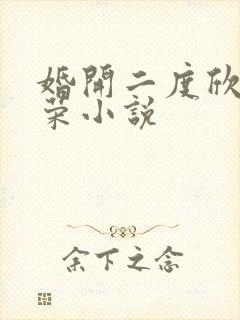 婚开二度欣欣向荣小说