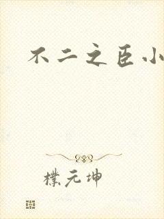 不二之臣小说
