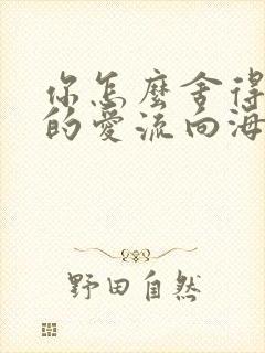 你怎么舍得让我的爱流向海