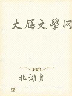 大雁文学网