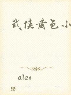 武侠黄色小说