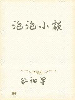 泡泡小说