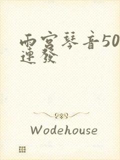 雨宫琴音500连发