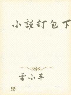 小说打包下载