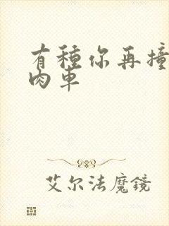 有种你再撞一下肉车