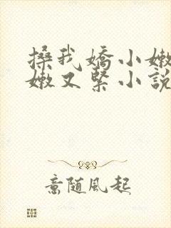 搡我娇小嫩苞又嫩又紧小说