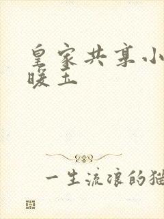 皇家共享小公主暖玉