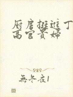 厨房挺进丁字裤高官贵妇