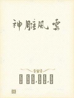 神雕风云