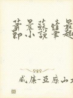 萧晨苏晴最新章节小说笔趣阁