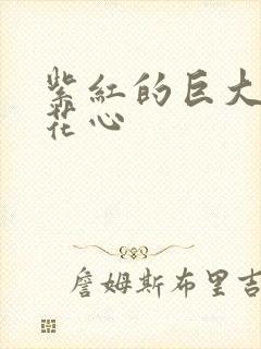 紫红的巨大顶开花心