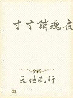 寸寸销魂夜春光