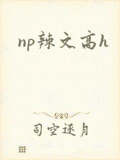 np辣文高h