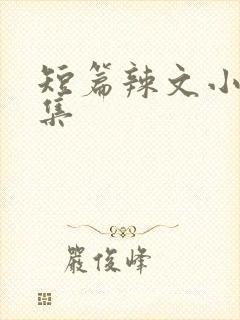 短篇辣文小说合集