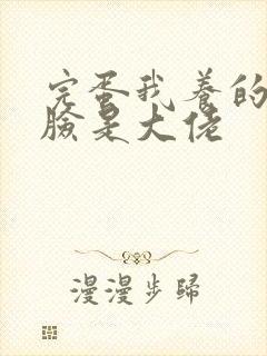 完蛋我养的小白脸是大佬