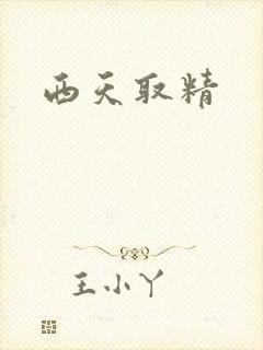 西天取精