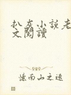 扒灰小说老马全文阅读