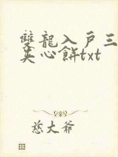 双龙入户三人行夹心饼txt