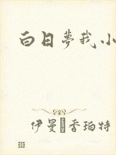 白日梦我小说