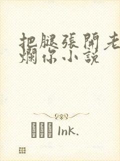 把腿张开老子臊烂你小说