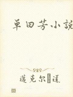 单田芳小说