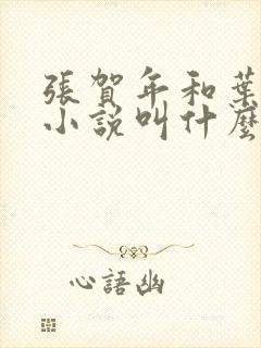 张贺年和叶繁姿小说叫什么名字