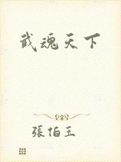武魂天下