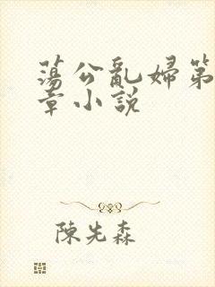 荡公乱妇第51章小说