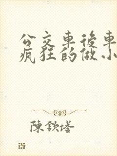 公交车后车座的疯狂的做小