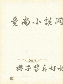 爱尚小说网