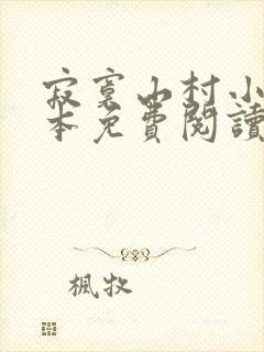 寂寞山村小说全本免费阅读