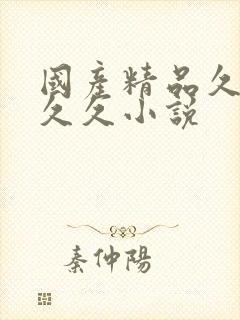 国产精品久久久久久小说