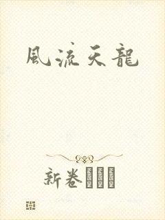 风流天龙