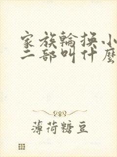家族轮换小说第二部叫什么名字
