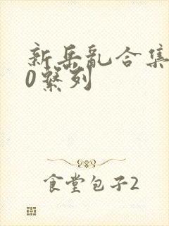 新岳乱合集500系列