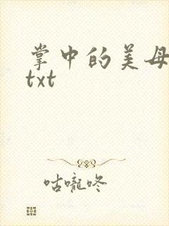 掌中的美母版主txt