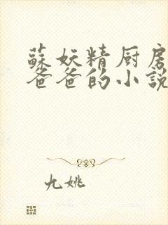 苏妖精厨房爹爹爸爸的小说