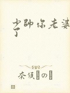 少帅你老婆又跑了