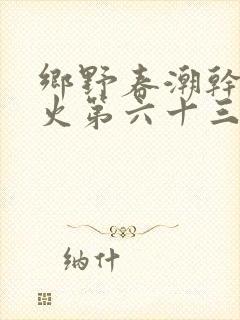乡野春潮干柴烈火第六十三章