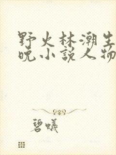 野火林潮生林晚晚小说人物野火
