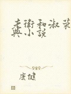 老卫和淑荣的经典小说