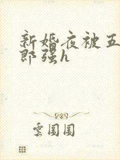 新婚夜被五个伴郎强h