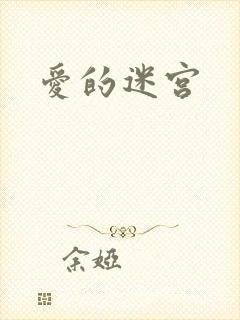 爱的迷宫