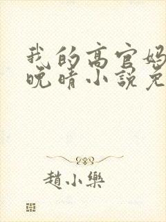 我的高官妈妈苏晚晴小说免费阅读