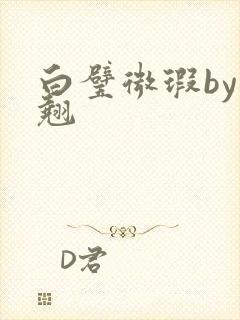 白璧微瑕by连翘