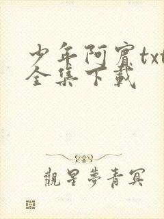 少年阿宾txt全集下载