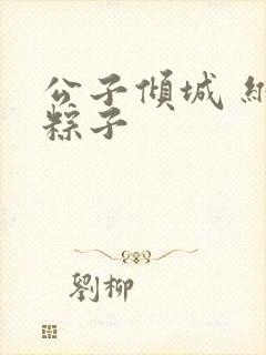 公子倾城 维和粽子