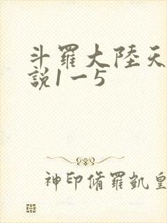 斗罗大陆天狂传说1一5