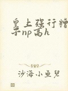 皇上强行糟蹋太子np高h