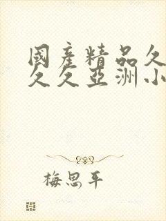 国产精品久久久久久亚洲小说